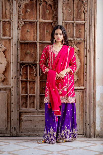 Meher Rani Pink and Royal Purple Embroidered Sharara Set
