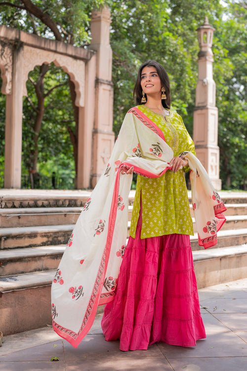 Gulabi Noor Sharara Set
