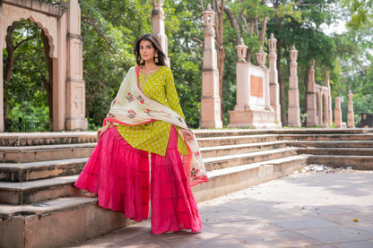 Gulabi Noor Sharara Set